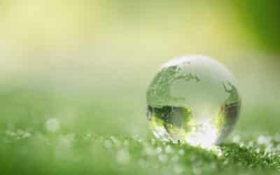 Traduction des études d&rsquo;impact environnemental – Un enjeu majeur pour la préservation de notre planète