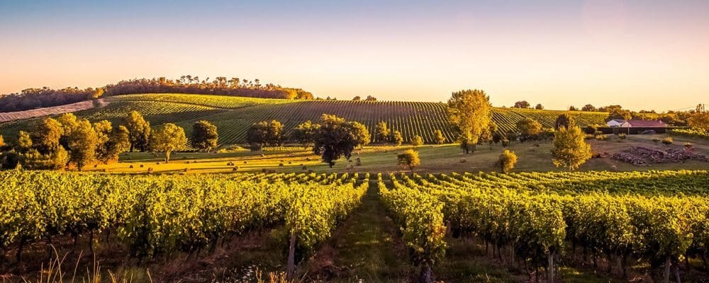 Services de traduction en Nouvelle-Aquitaine